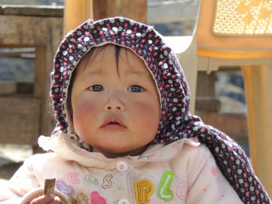 Nepal 211 (640x480).jpg
