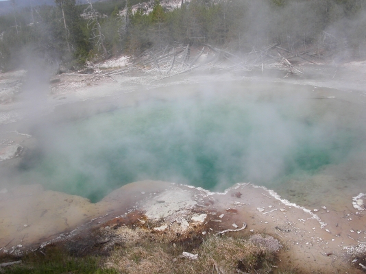 Emerald Spring