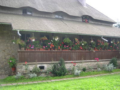 DSCN0052.JPG