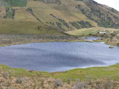 P1030876.JPG