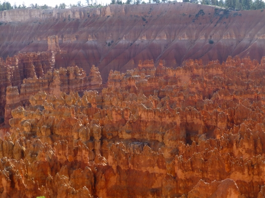 P1010271.JPG