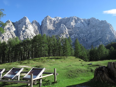vrsic