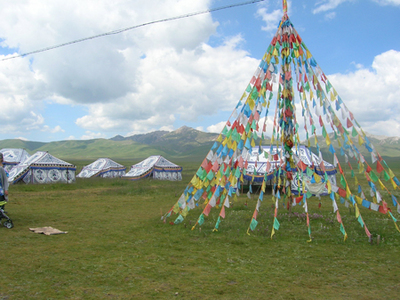 nuoergaicaoyuanhuahu