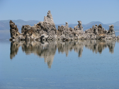 Mono