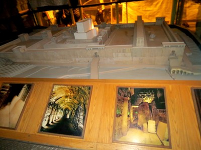 IMG_2170 (Large).JPG