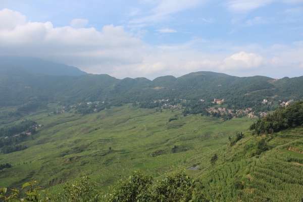 IMG_7620.JPG