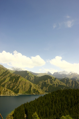 _MG_0302.JPG