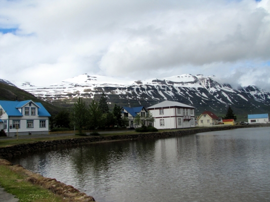 IMG_8228.jpg