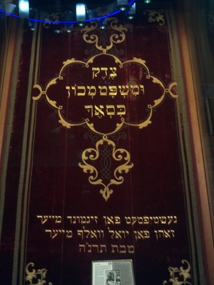 מוזיאון בית הכנסת החדש