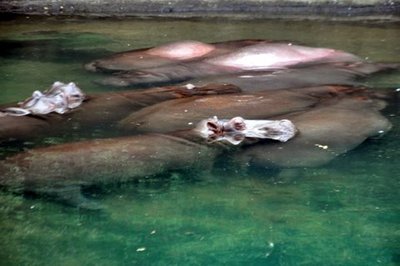 DSC_0140.JPG