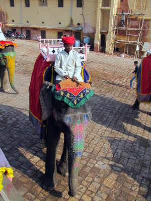 IMG_7527.jpg