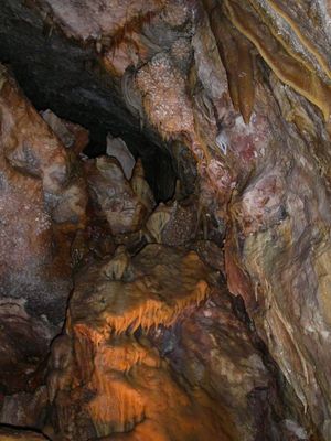 Bacon ב- Jewel Cave