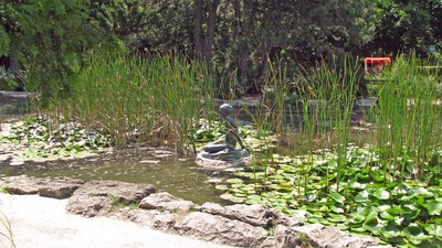 IMG_8938.JPG