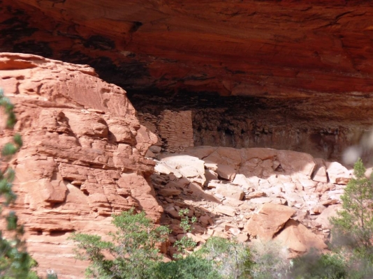 Boynton Canyon