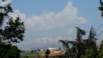 IMG_0277 (Large).JPG