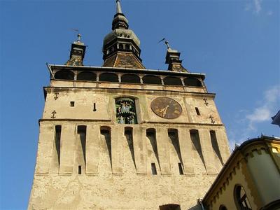 P6160102 (Medium).JPG