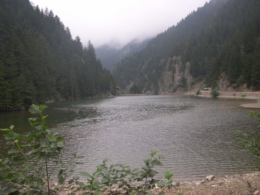 DSCN0143.JPG