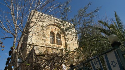 IMG_0123 (Large).JPG