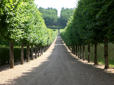 PO20110706_0100.JPG