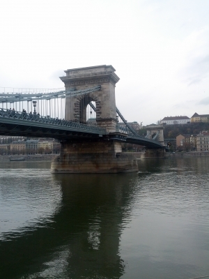 IMG_20131123_121341.jpg