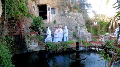 IMG_0050 (Large).JPG