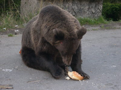 DSCN0070.JPG