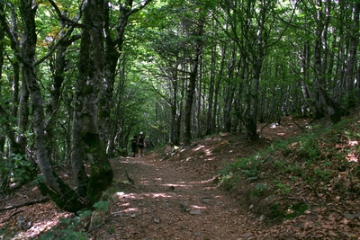 grand ballon2.jpg