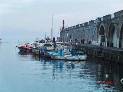 CIMG3895 (Large).JPG