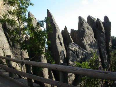 Needles