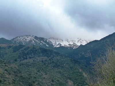 Mistras