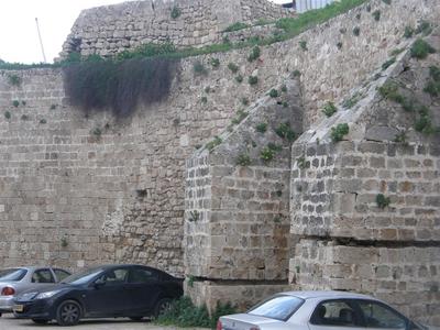 P2240472 (Large).JPG