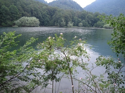 Biogradska Jezero