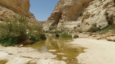 IMG_0360 (Large).JPG