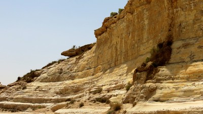 IMG_0828 (Large).JPG