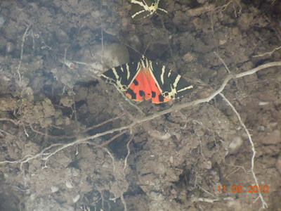 DSCN0642.JPG