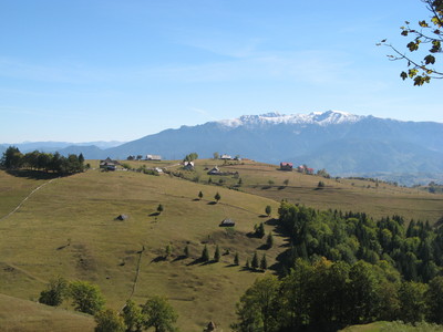IMG_4870.JPG