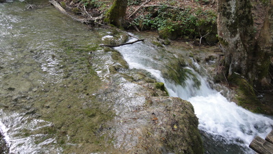 DSC02214.JPG