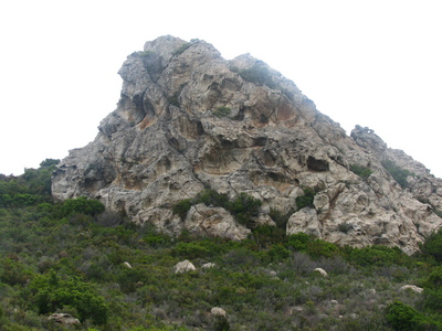 IMG_8485.JPG