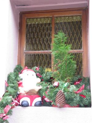 IMG_5943 (Large).JPG