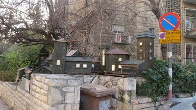 IMG_0281 (Large).JPG