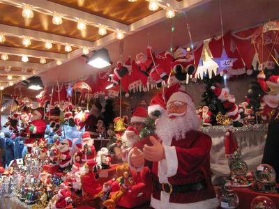 IMG_6131 (Large).JPG
