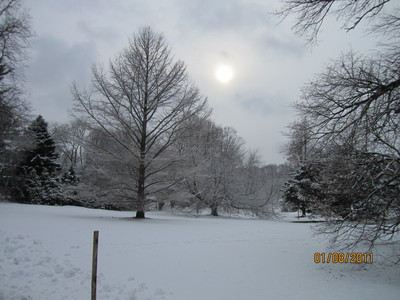 IMG_20110108 (9).JPG