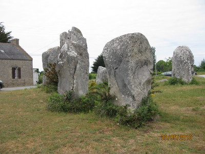 shina 180.jpg