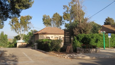 IMG_0324 (Large).JPG