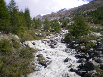 IMGP2905.JPG