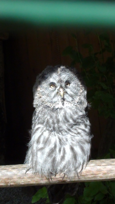 DSC03145.JPG