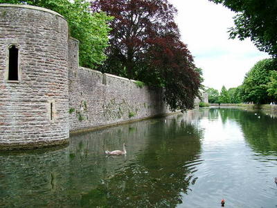 Wells Cathedral 1.jpg