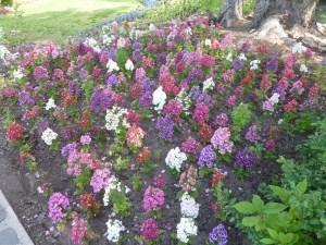 Cascade Gardens