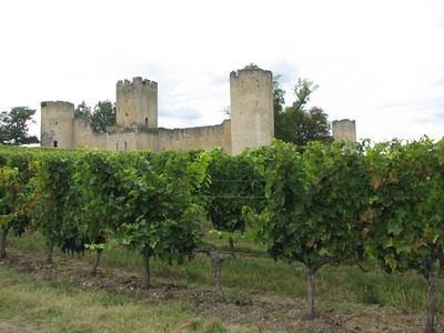 To Villandraut5.JPG