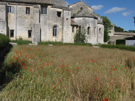 France 1165.jpg